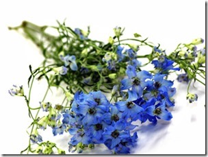 青い花束